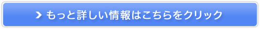 z300~̍XybNE̊COi^T[o[ythT[o[z̔TCg
